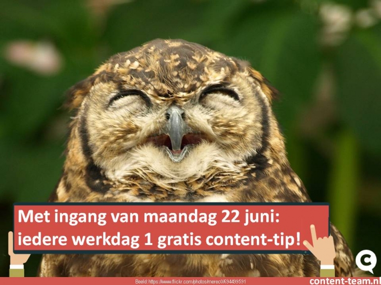content-tip