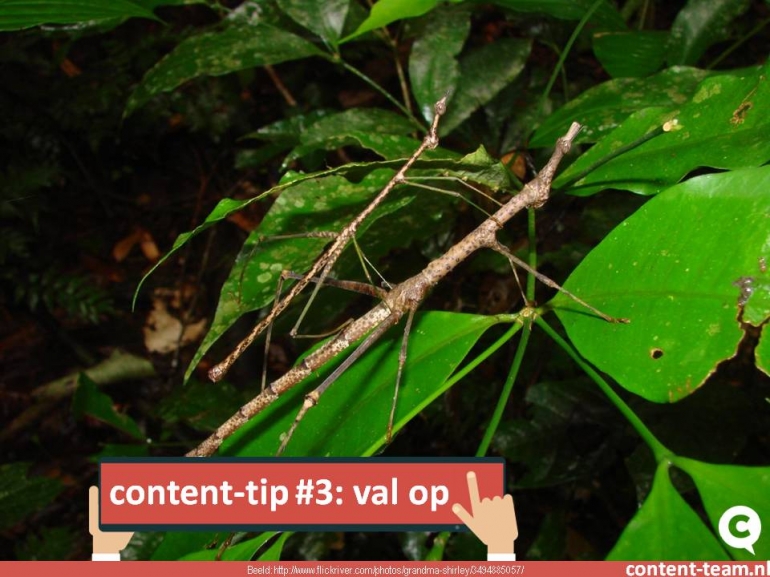 content-tip #3